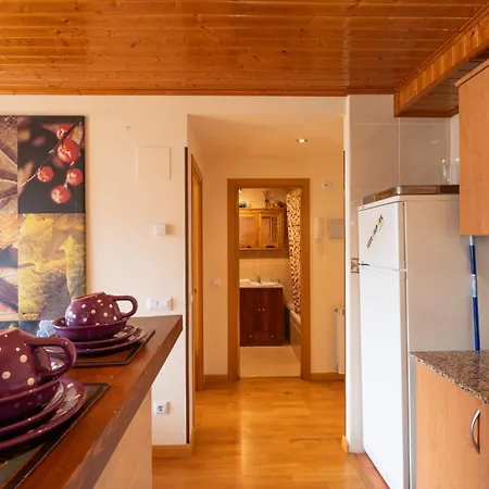 Inmobiliaria Formigal Appartamento Formigal